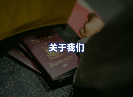 专业团队